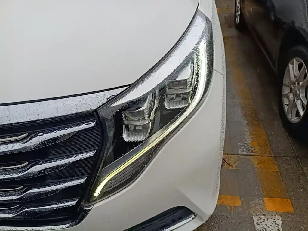 GAC Motor Trumpchi M8 — фото 23