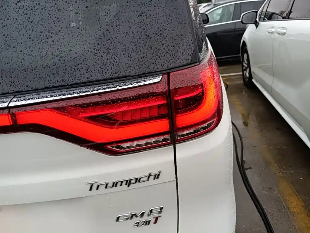 GAC Motor Trumpchi M8 — фото 7