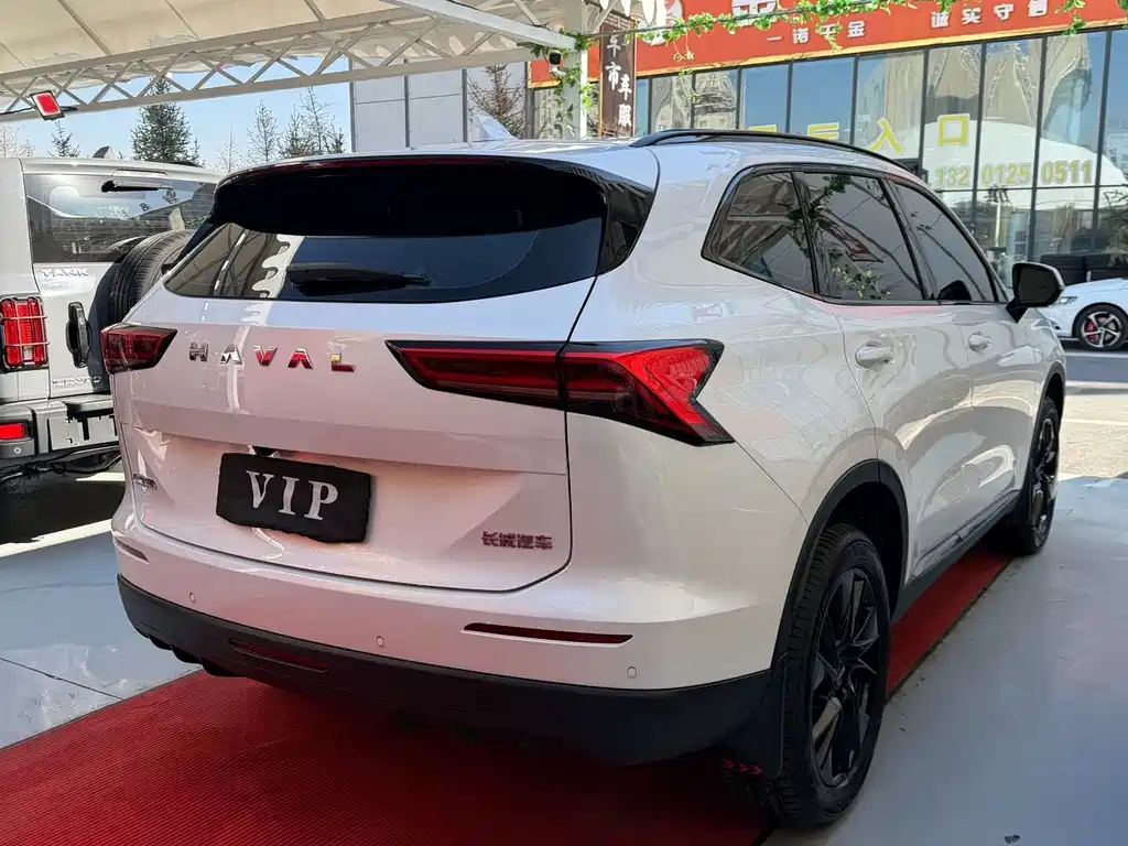 Haval H6 — фото 9