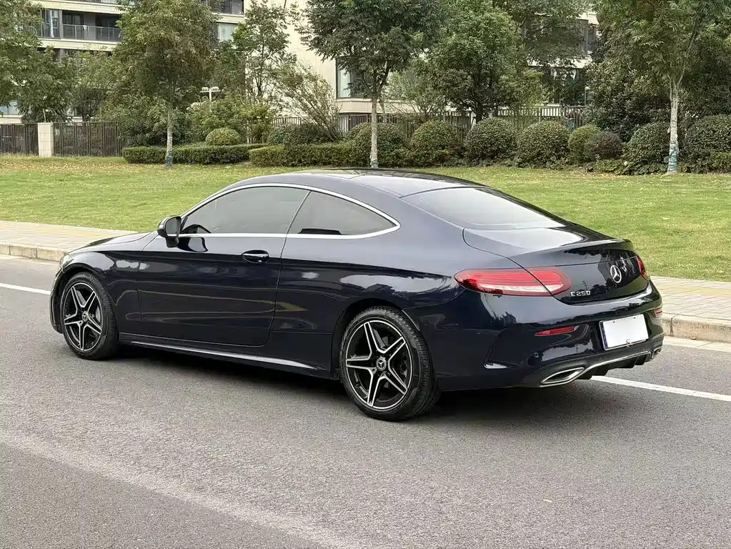 Mercedes-Benz C-Class (Import) — фото 6