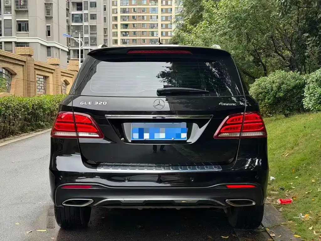 Mercedes-Benz GLE (Import) — фото 5