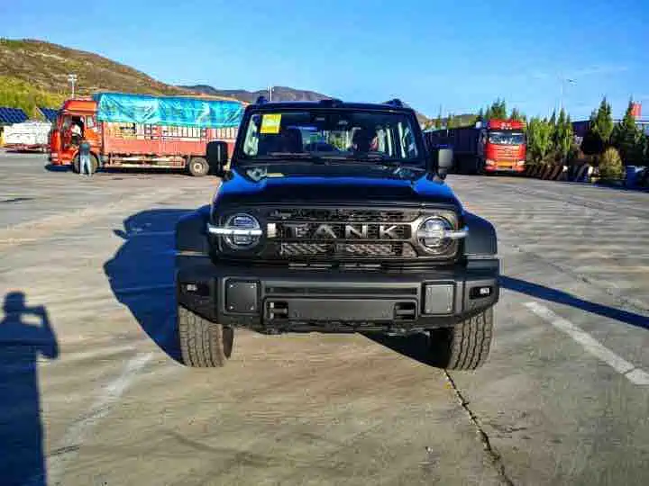 Tank Tank 300L New Energy — фото 2
