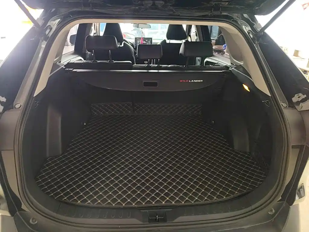 Toyota Wildlander — фото 18