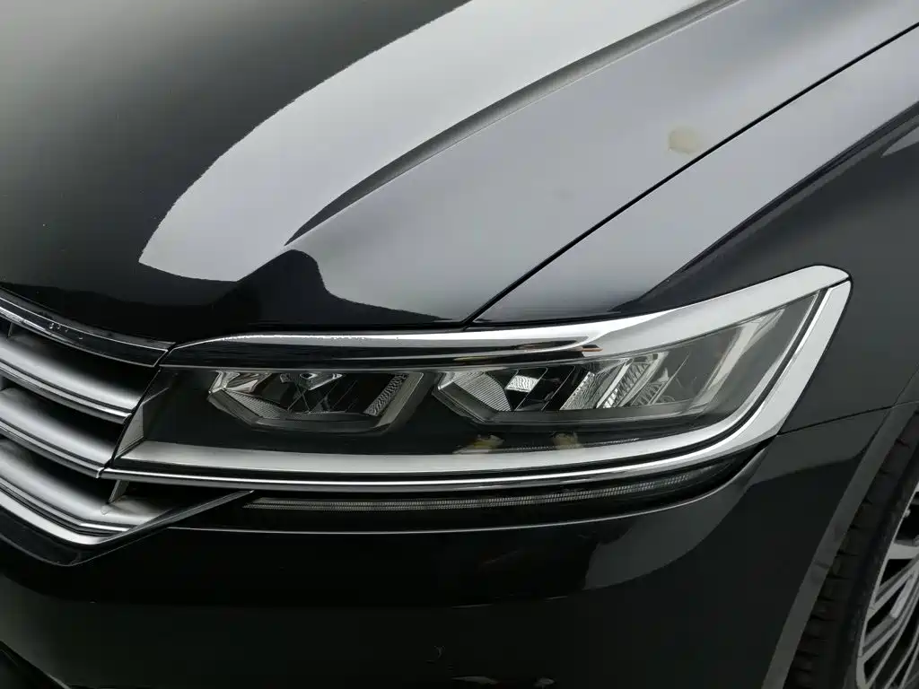 Volkswagen Phideon — фото 7