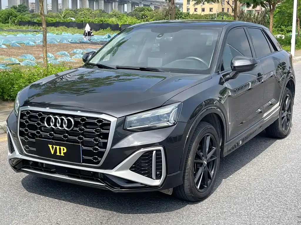 Audi Q2L
