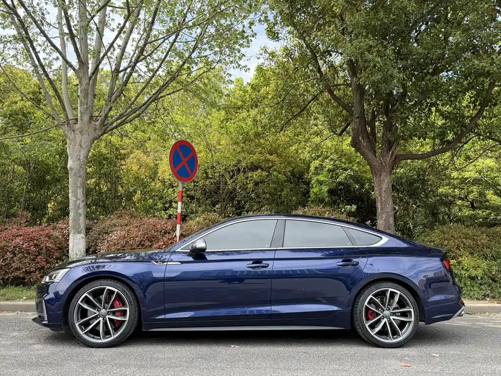 Audi S5 — фото 4