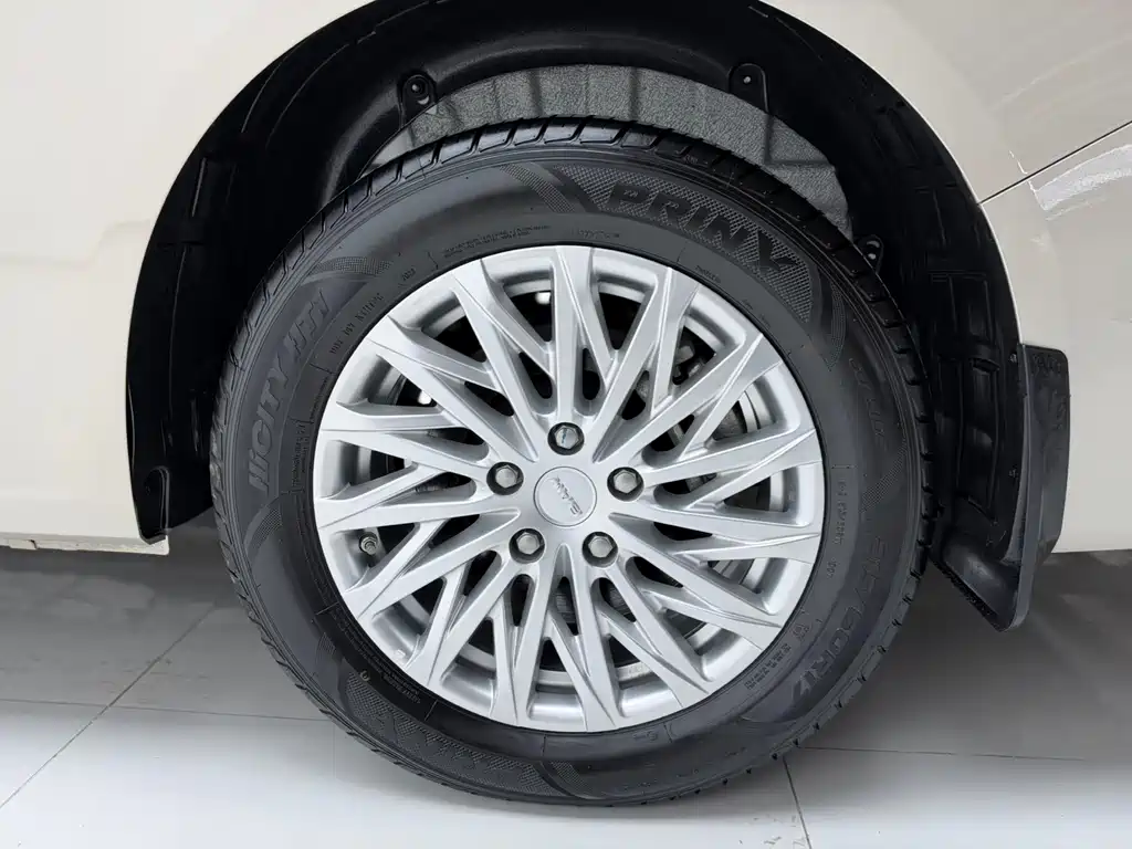 BAW Ruisheng Ace M7 — фото 14