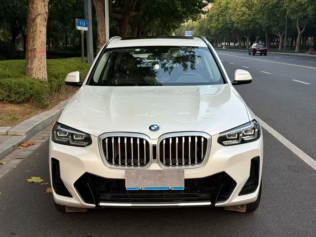 BMW X3 — фото 2
