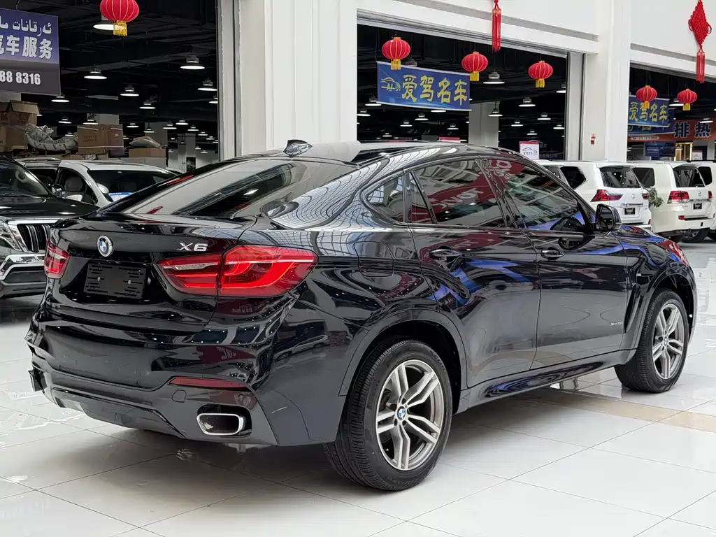 BMW X6 — фото 21