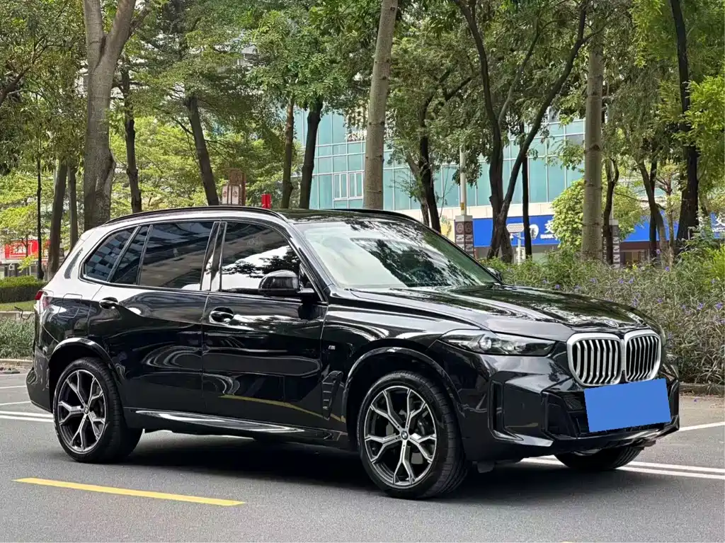BMW X5 — фото 2