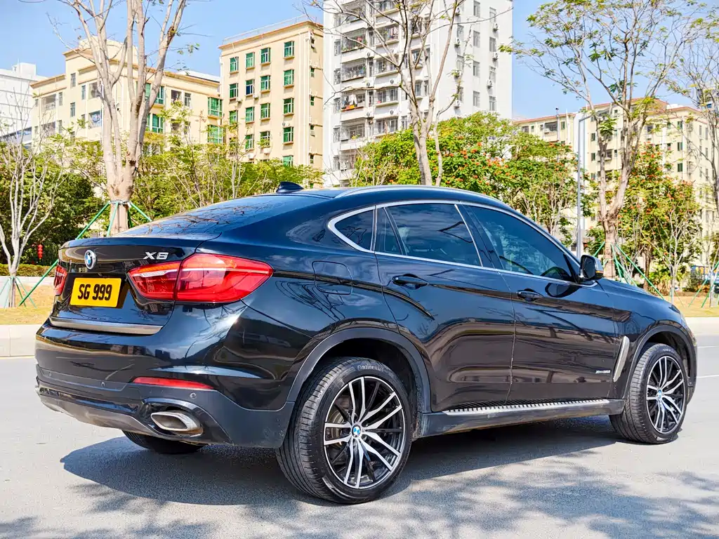 BMW X6 — фото 10
