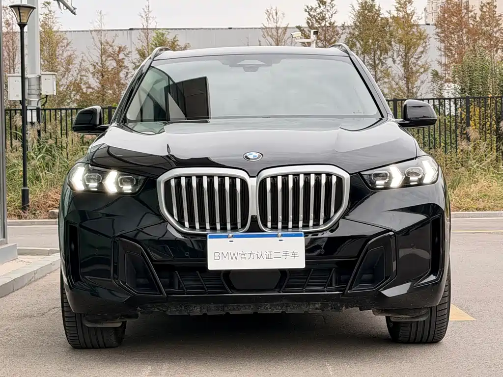 BMW X5 — фото 5