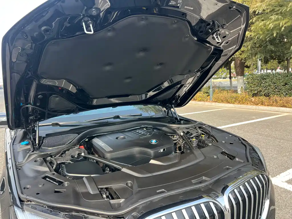 BMW 7 Series — фото 19