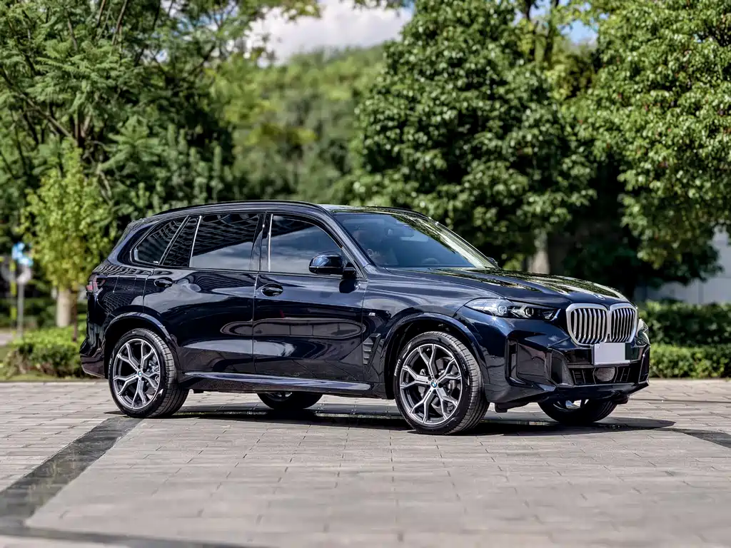 BMW X5 — фото 3