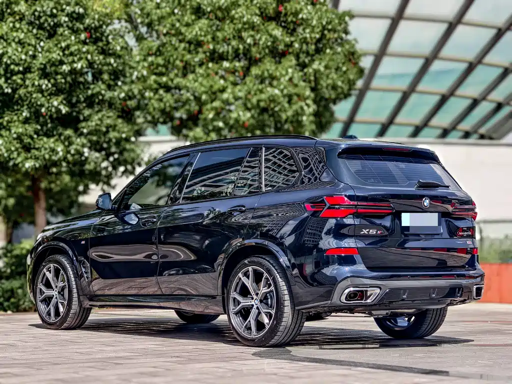 BMW X5 — фото 5