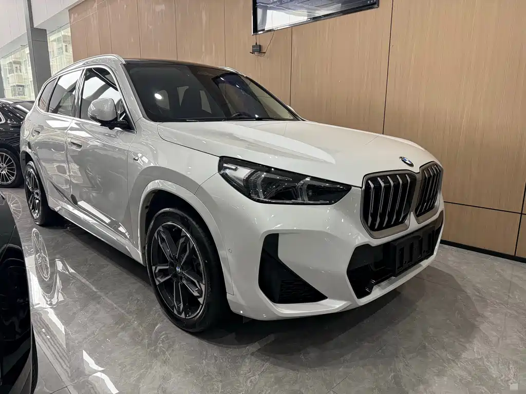 BMW X1 — фото 3