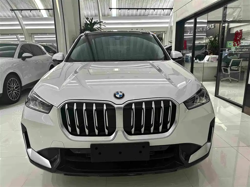 BMW X1 — фото 2
