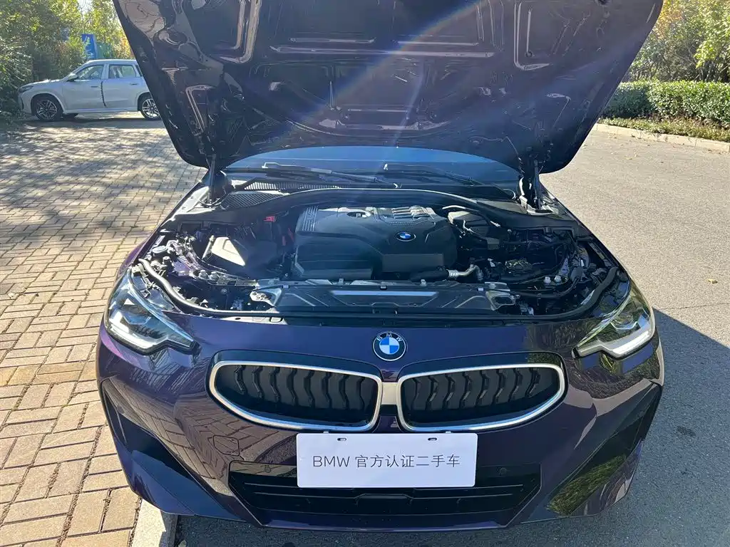 BMW 2 Series (Import) — фото 13