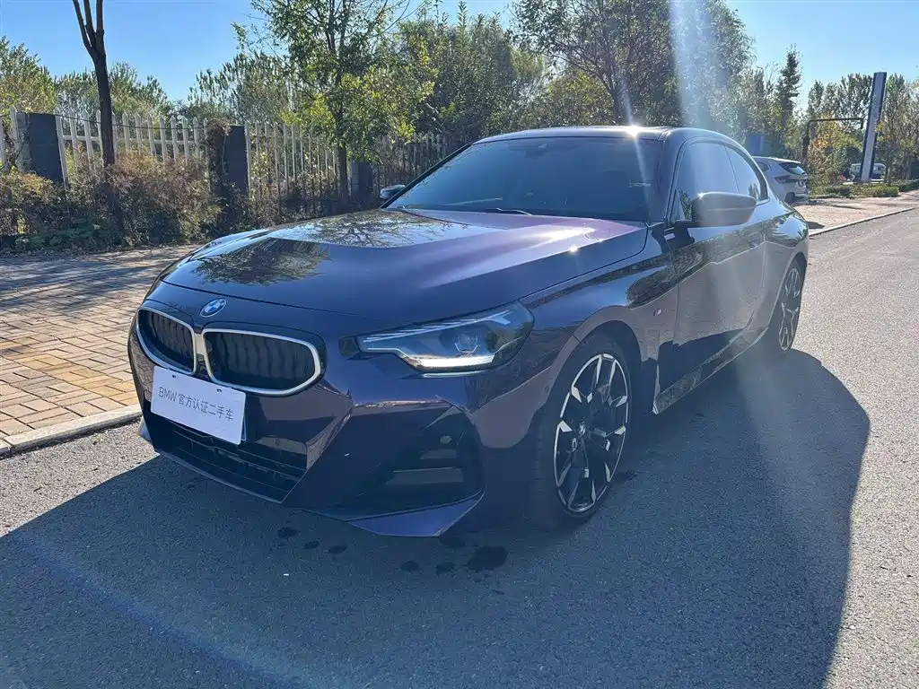 BMW 2 Series (Import) — фото 1