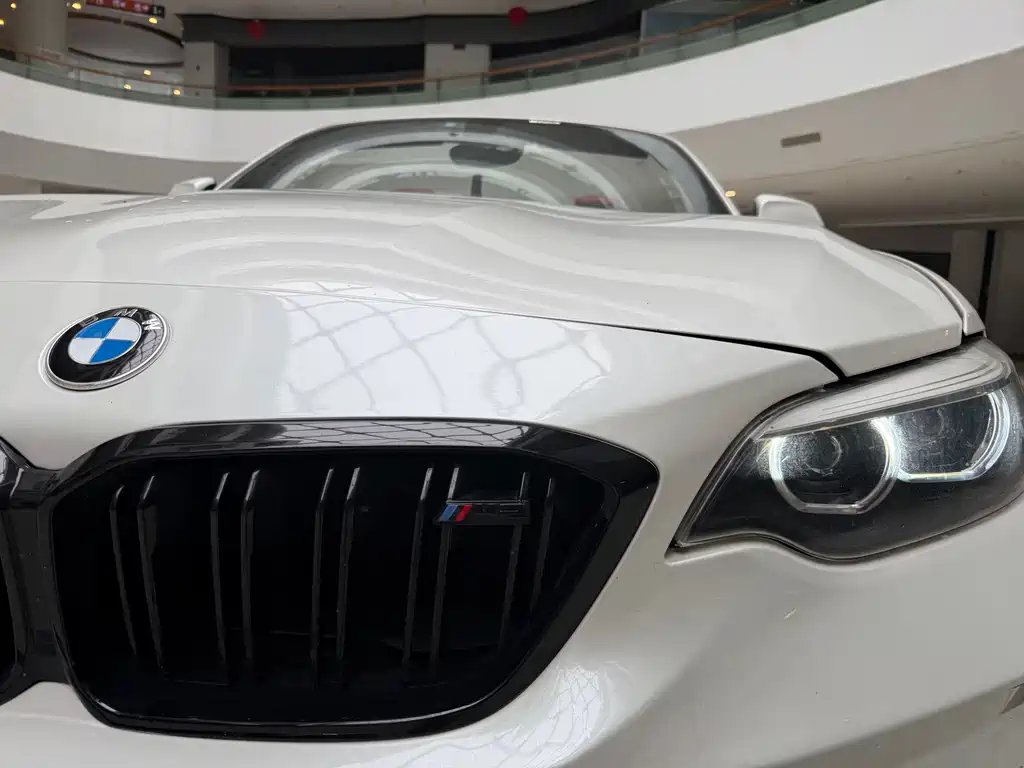 BMW 2 Series (Import) — фото 11