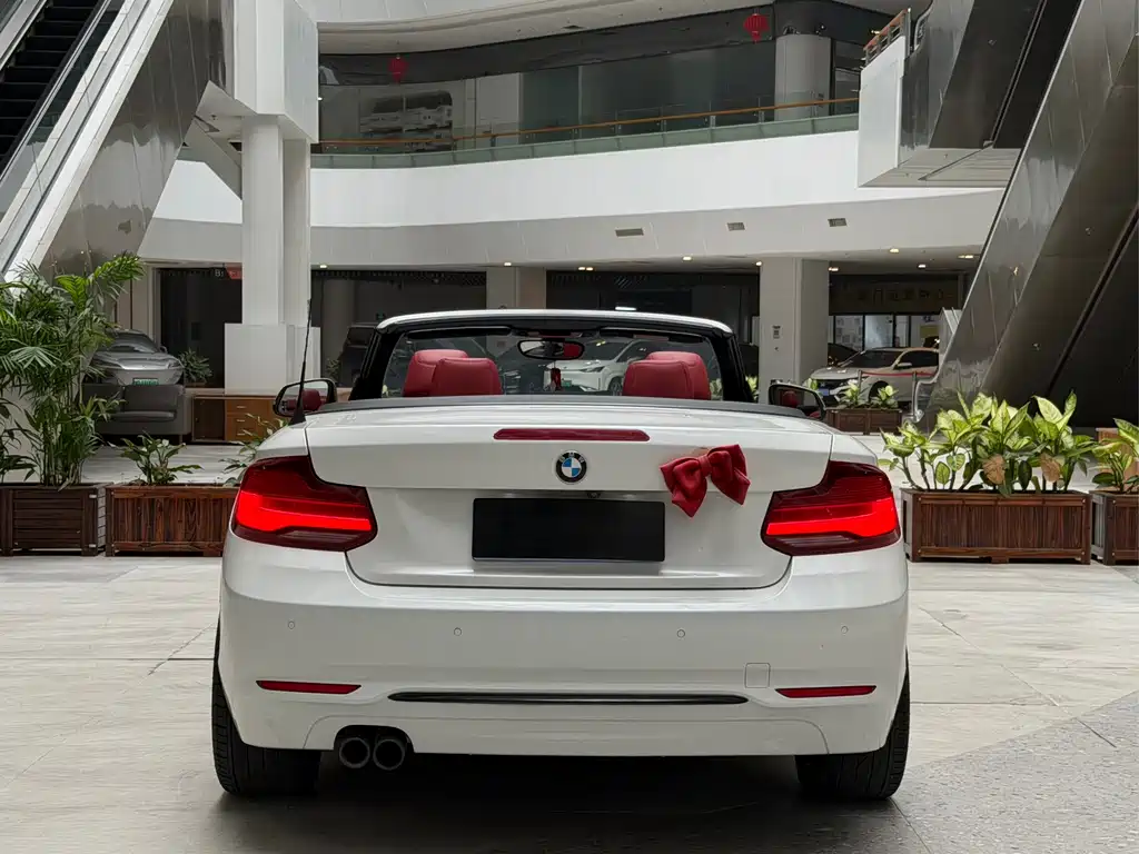 BMW 2 Series (Import) — фото 5