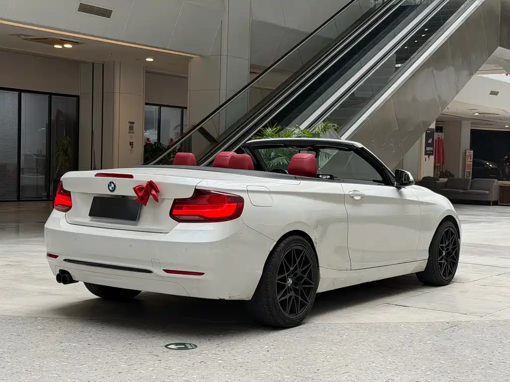BMW 2 Series (Import) — фото 6