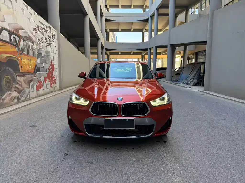 BMW X2 — фото 9