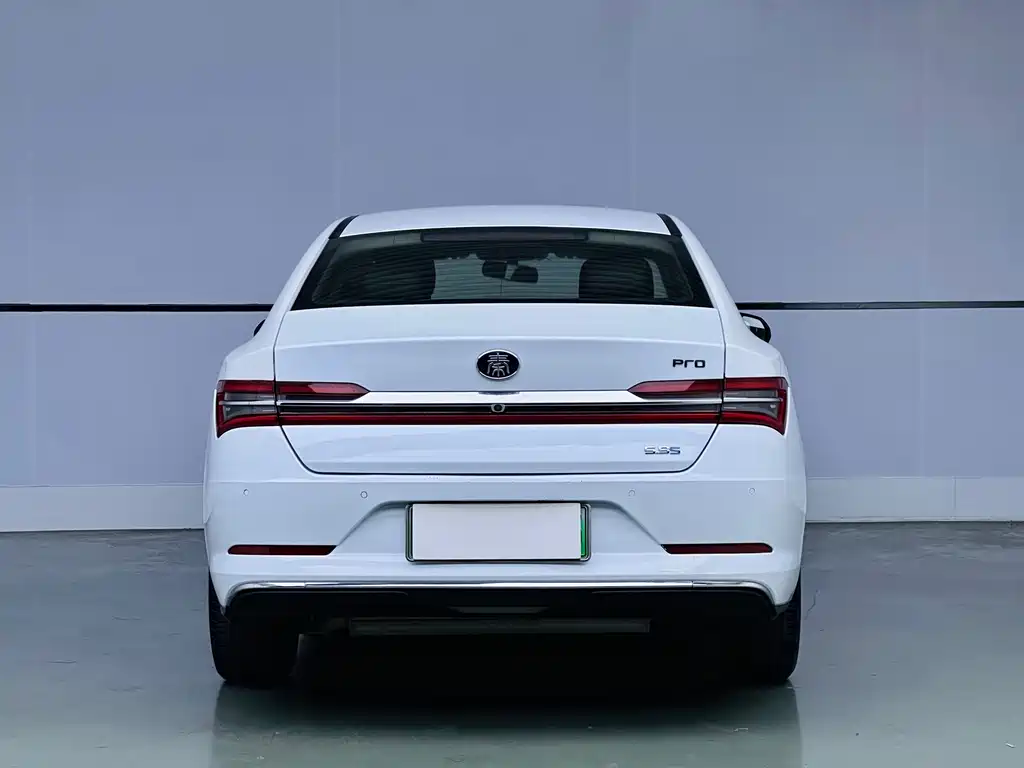 BYD Qin Pro NEV — фото 5