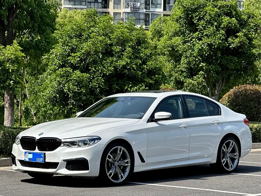 BMW 5 Series (Import) — фото 2