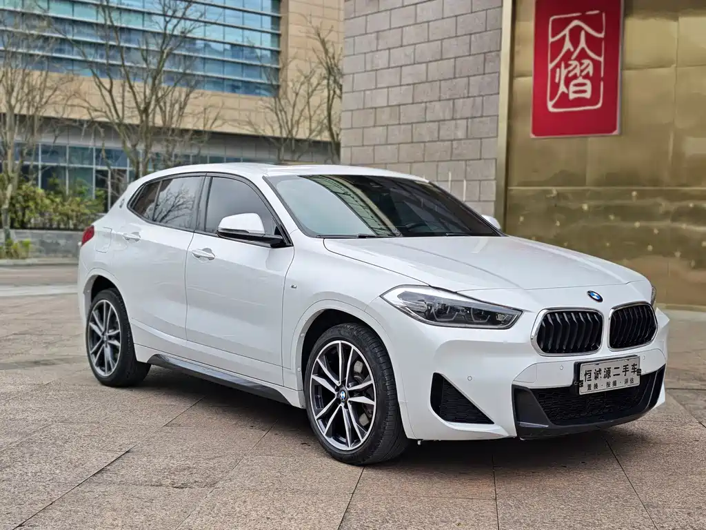 BMW X2 — фото 2