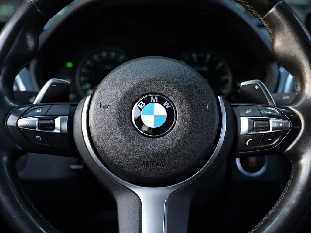 BMW 3 Series GT — фото 11