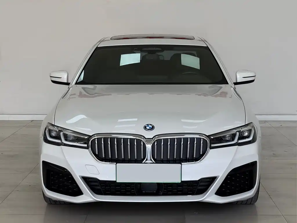 BMW 5 Series New Energy — фото 2