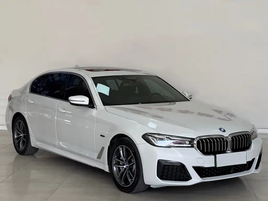 BMW 5 Series New Energy — фото 3
