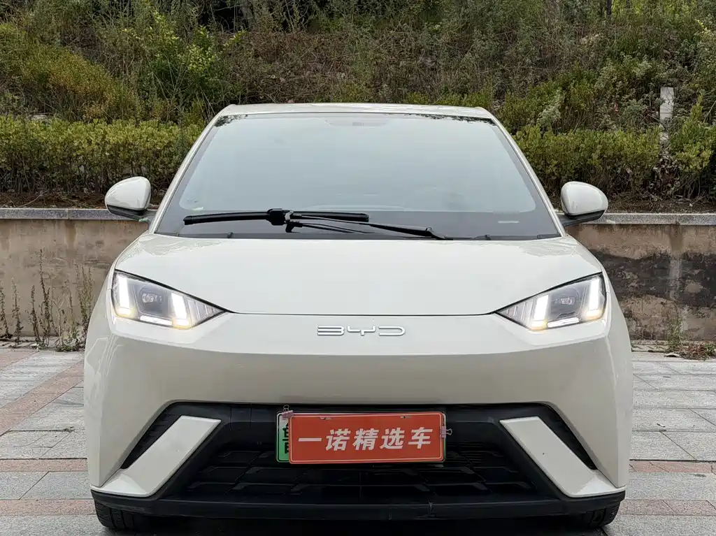 BYD Seagull — фото 2