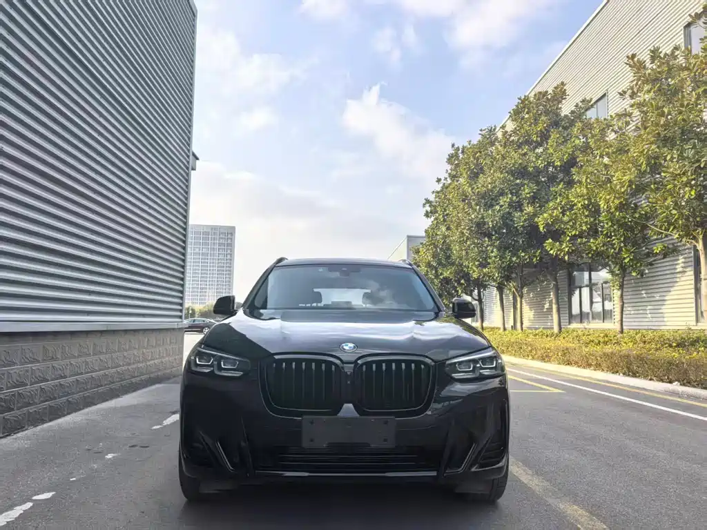 BMW X3 — фото 2