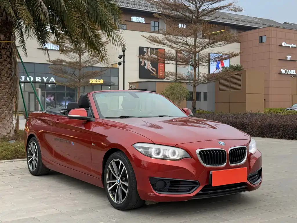 BMW 2 Series (Import) — фото 3