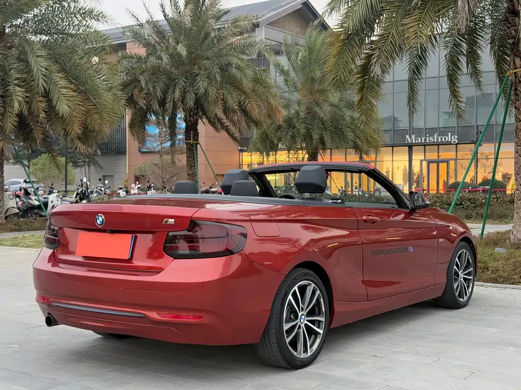 BMW 2 Series (Import) — фото 4