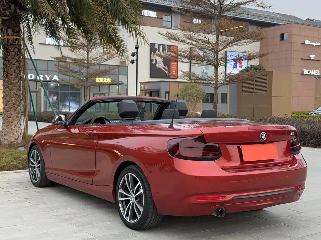 BMW 2 Series (Import) — фото 6