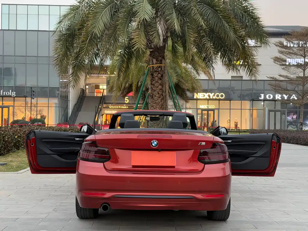 BMW 2 Series (Import) — фото 7