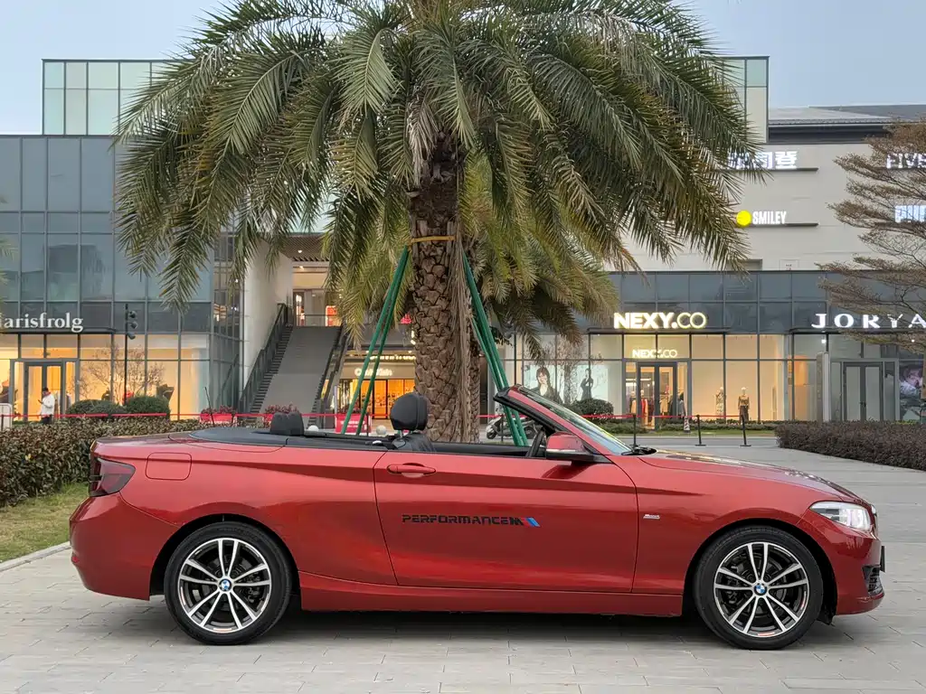 BMW 2 Series (Import) — фото 8