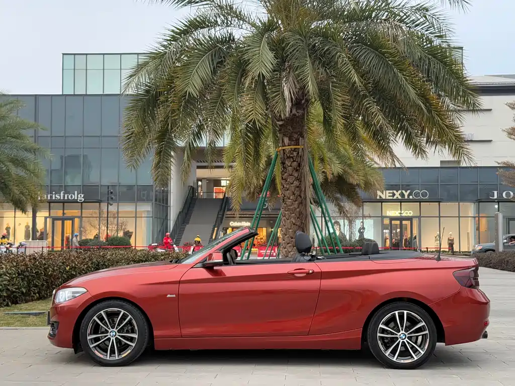 BMW 2 Series (Import) — фото 9