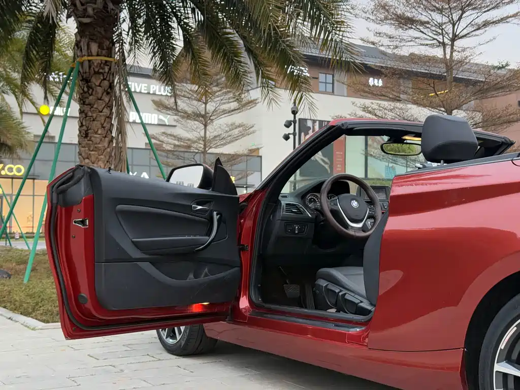 BMW 2 Series (Import) — фото 10