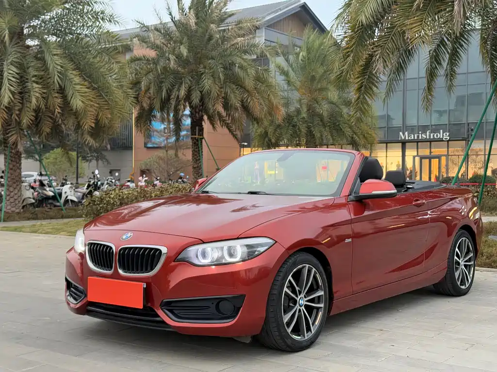 BMW 2 Series (Import)