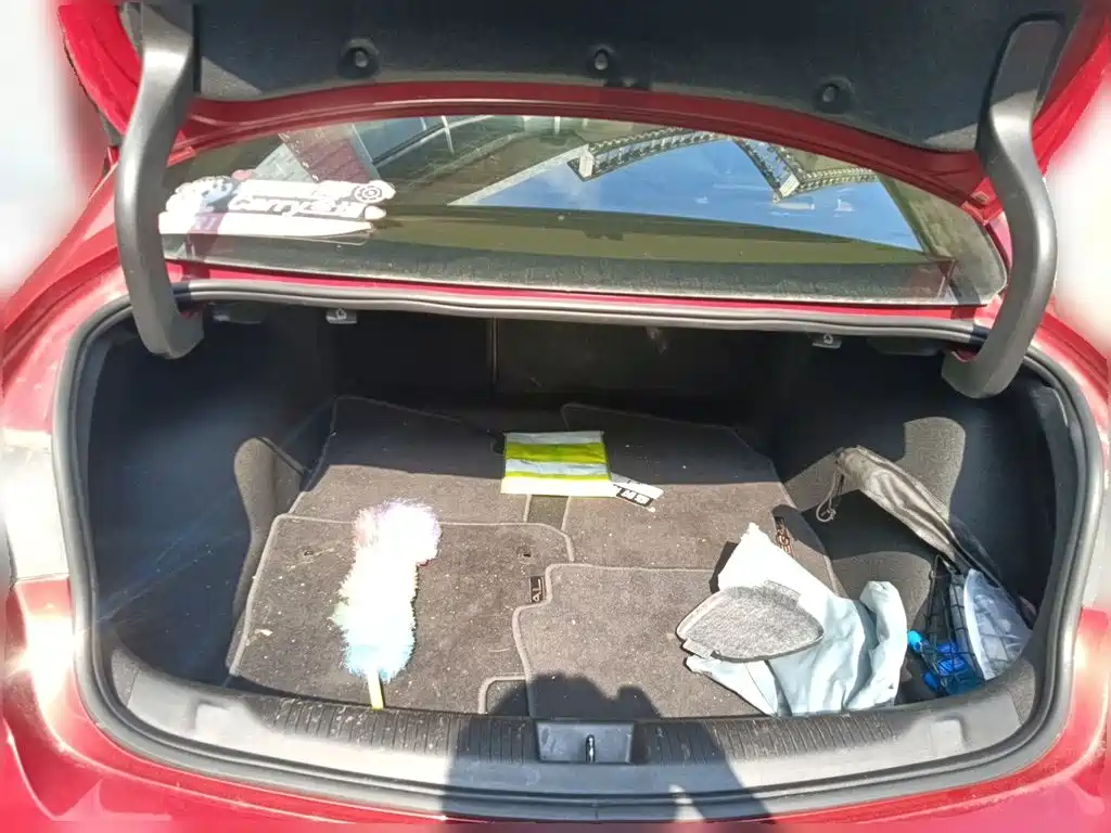 Buick Regal — фото 15