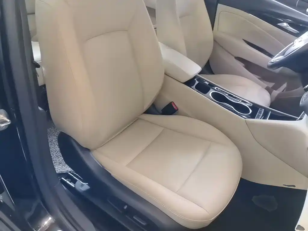 Buick Regal — фото 24
