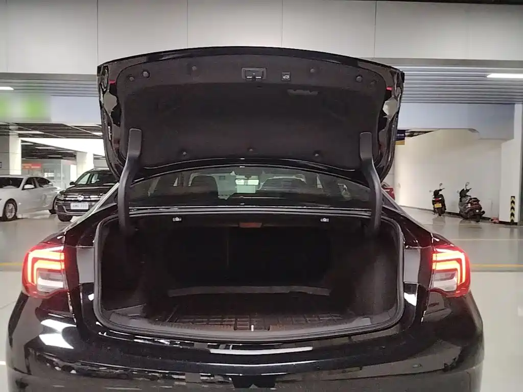 Buick Regal — фото 18