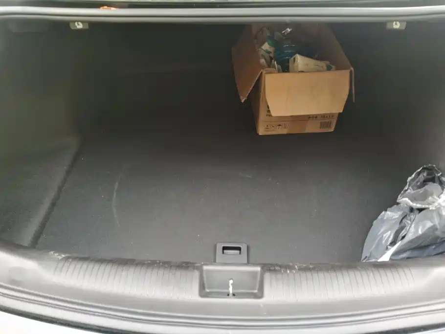 Buick Regal — фото 4