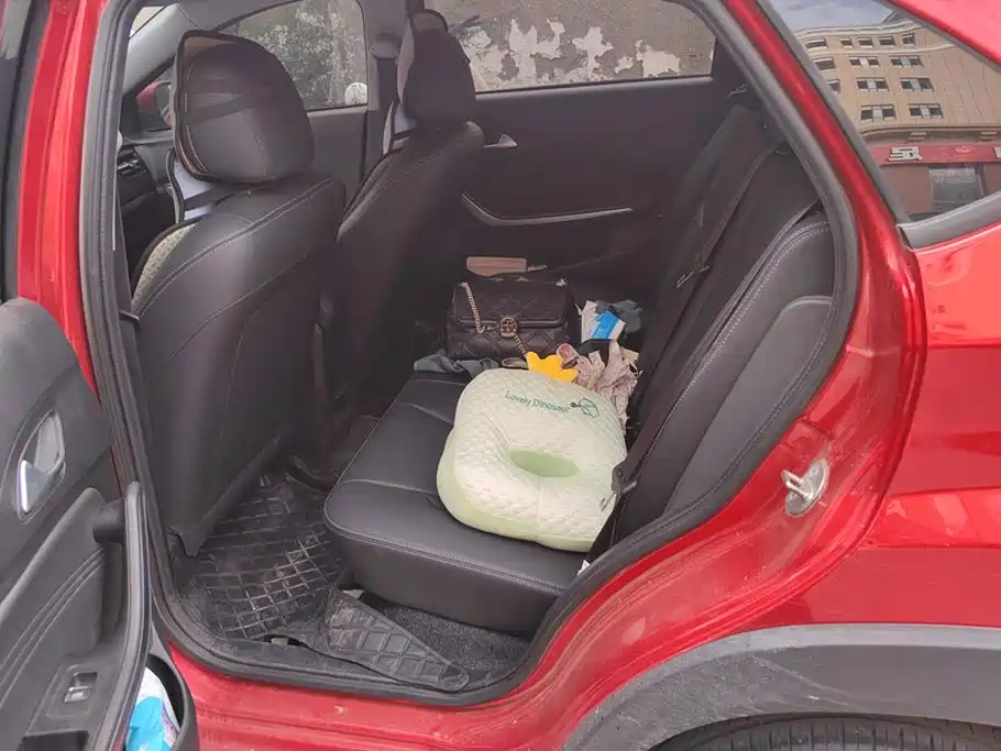Chery Tiggo 3x — фото 11
