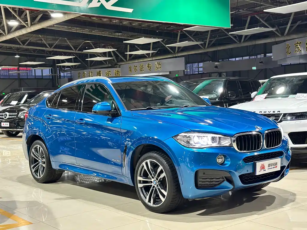 BMW X6 — фото 5