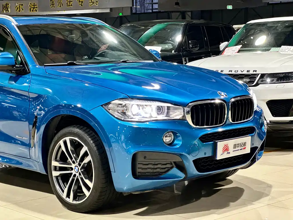 BMW X6 — фото 6